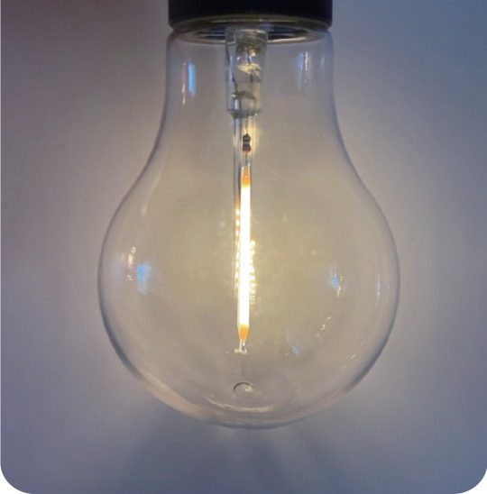 A55 bulb