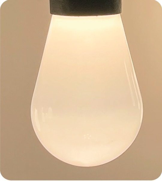 S16W bulb