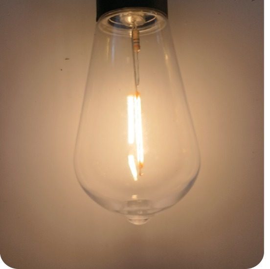 T50 bulb