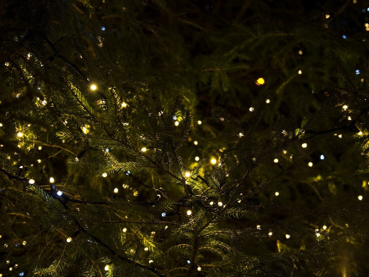 Christmas Lights