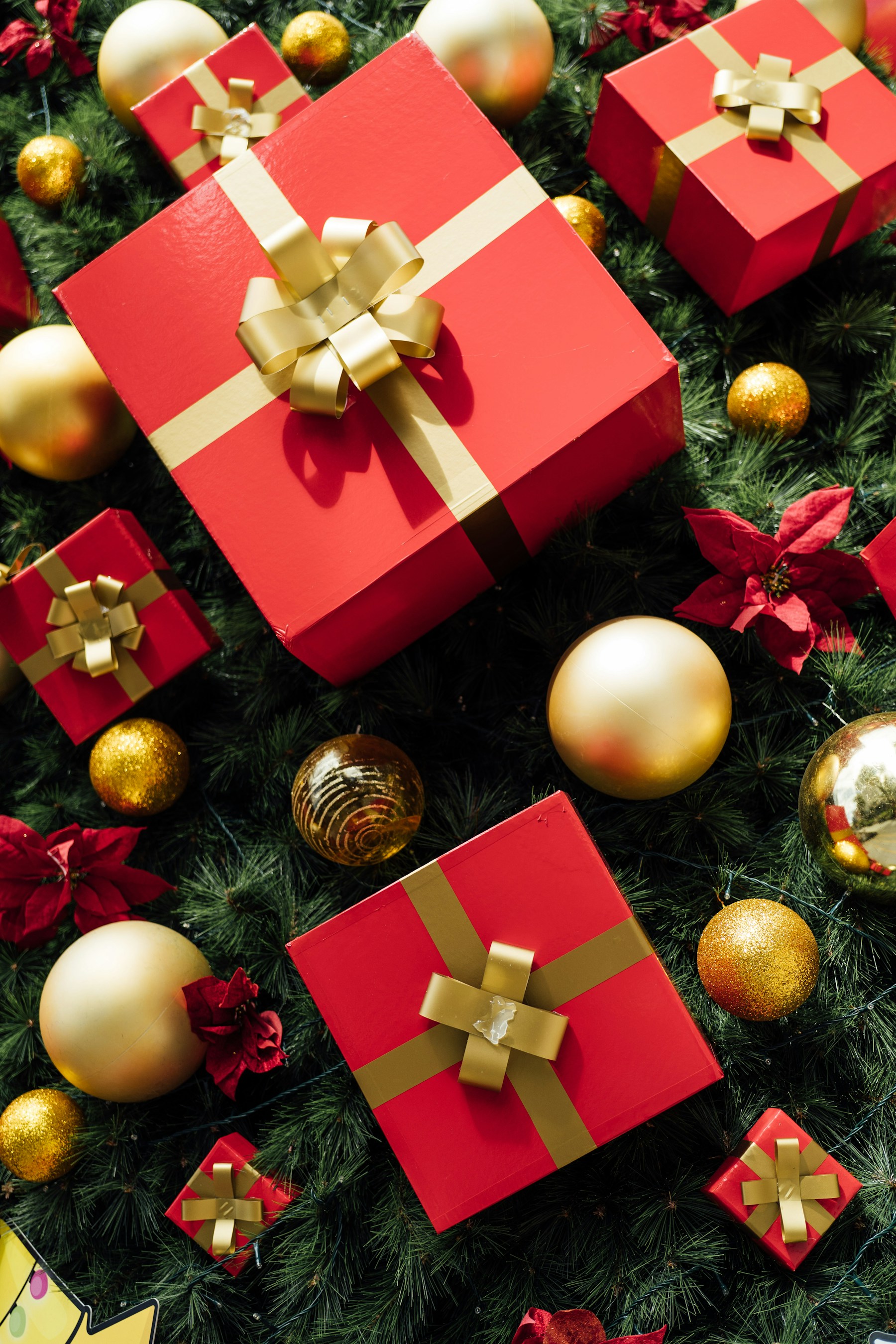 Red and gold Christmas gifts arranged on festive evergreen branches